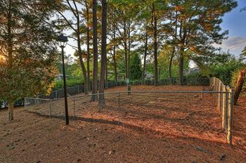 Fenced dog park
